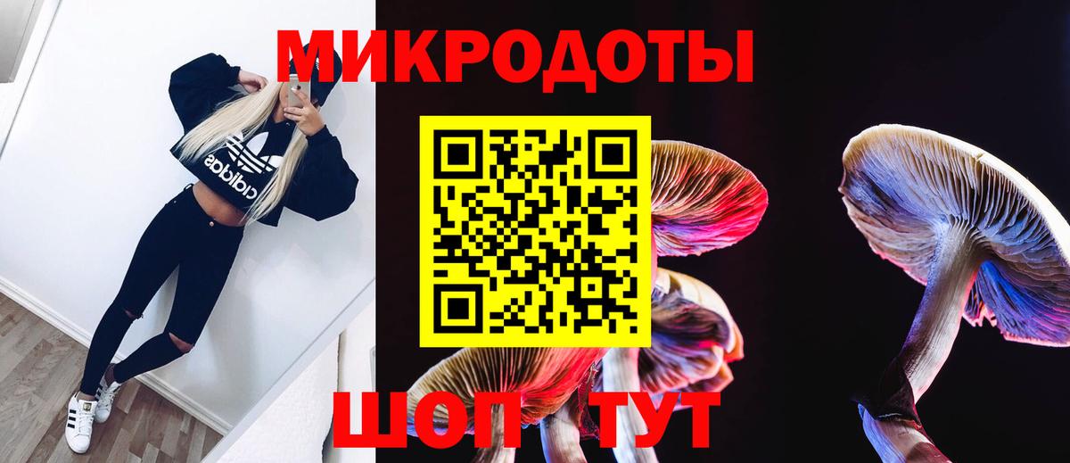 Галлюциногенные грибы мицелий  Галлюциногенные грибы прущие грибы  Вход с VPN  закладки  Воронеж 